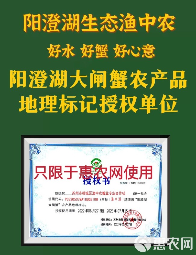 【阳澄湖镇镇大闸蟹，企业单位，佳品】江苏大闸蟹产地直发，礼盒装