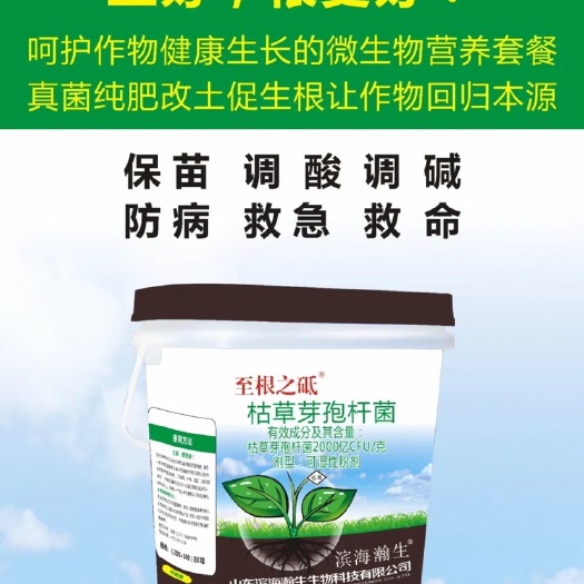 莘县生根治病，根腐病，死根烂苗，鸡粪熏苗，延衰老，一桶三亩地