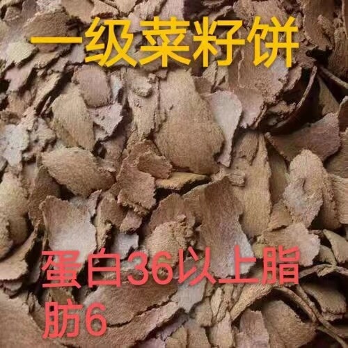 石家庄菜籽饼