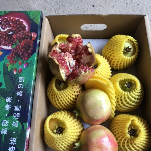 永胜县突尼斯