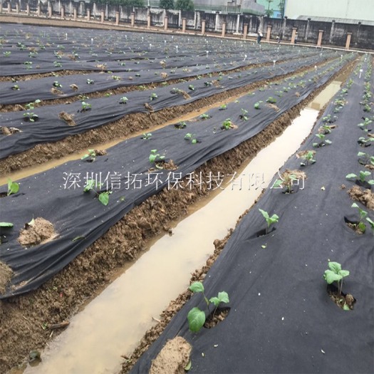 东莞市防草布样品免费领取