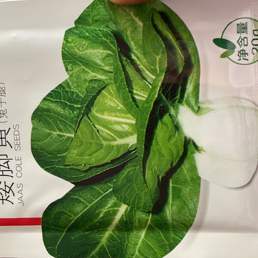 桐城市矮脚黄（兔子腿）