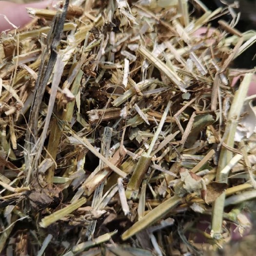 正阳县花生秧草料，营养价值高牛羊马饲料，保证质量无土，无霉变，