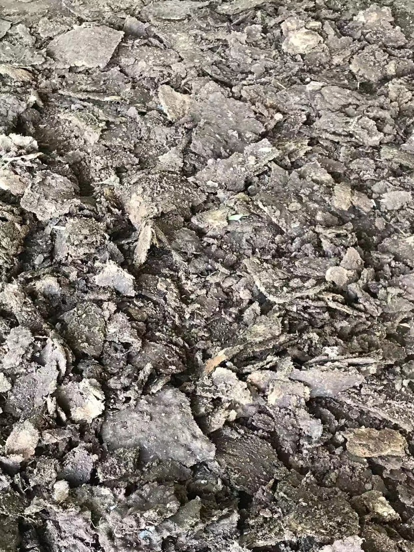 桂林纯鸭粪