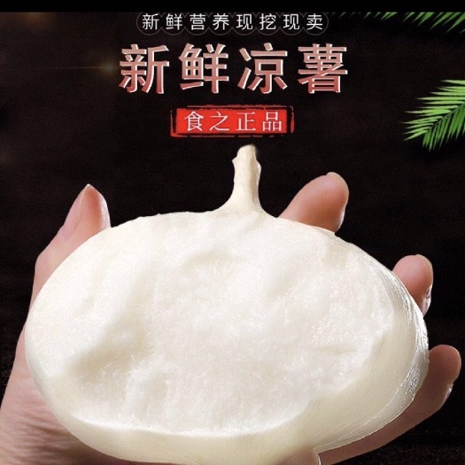 【凉薯】豆薯/地瓜/沙葛/地萝卜瓜白多汁，大量上市，产地直销