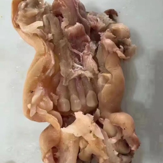博爱县清真去骨牛蹄大量发货