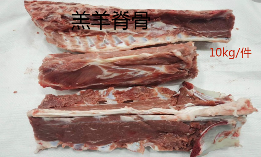 天津羊蝎子，