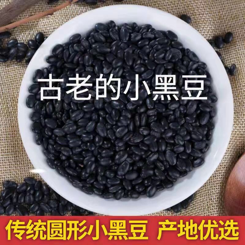 黑豆種子 扁粒黃心黑豆種子 生黑豆芽 生黑豆苗 當(dāng)季新種