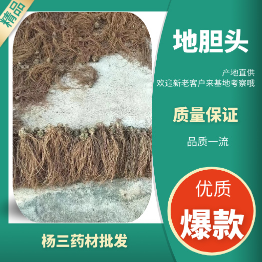 新鲜地道头