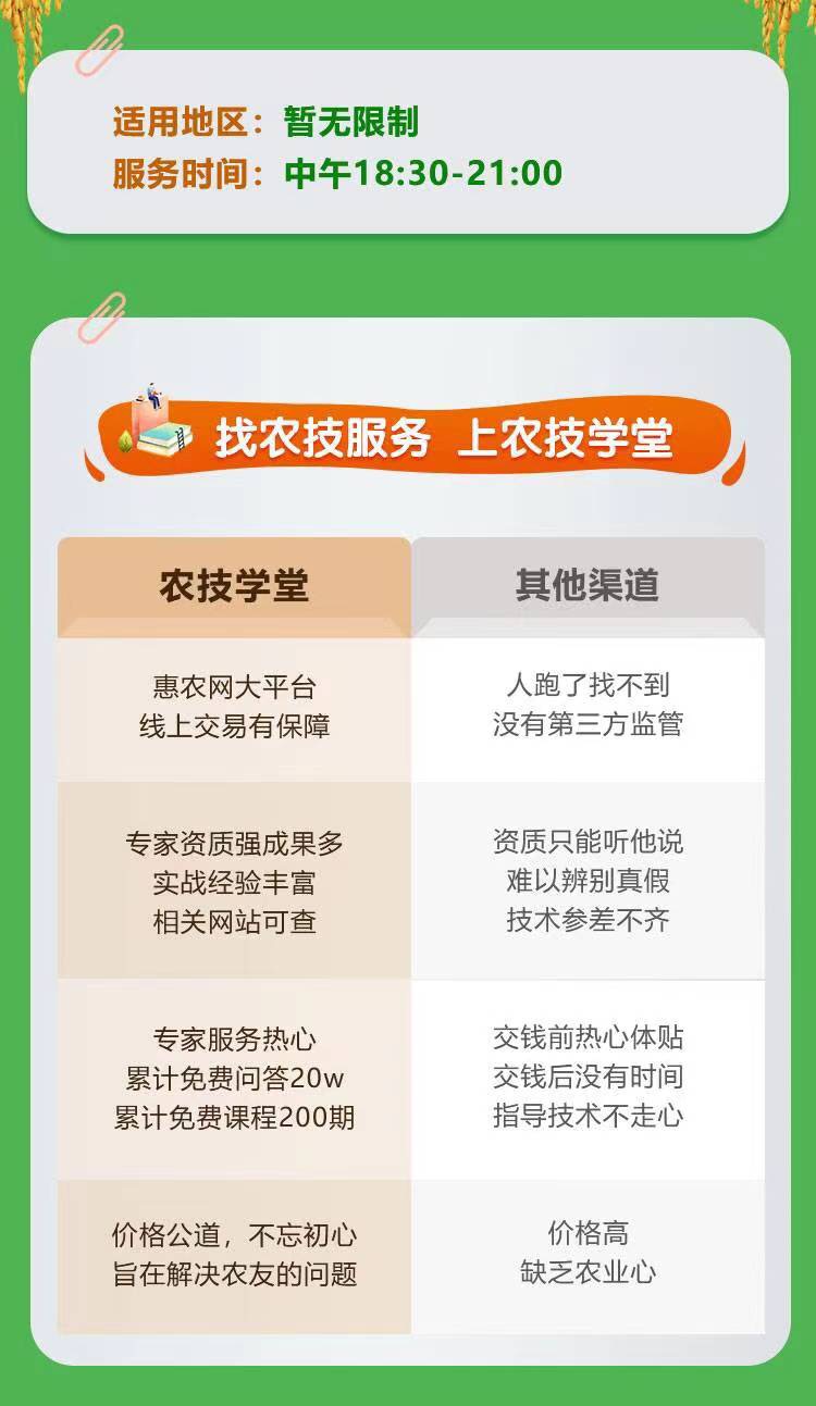 蔬菜种植技术花生芽技术豌豆苗技术黑豆苗技术芽苗菜全类技术指导