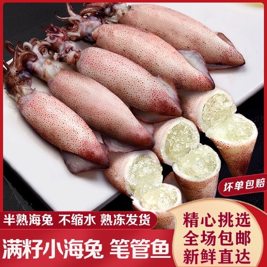 连云港新鲜小海兔海兔子满籽笔管鱼带籽小海兔海鲜全籽籽乌墨鱼乌贼批发