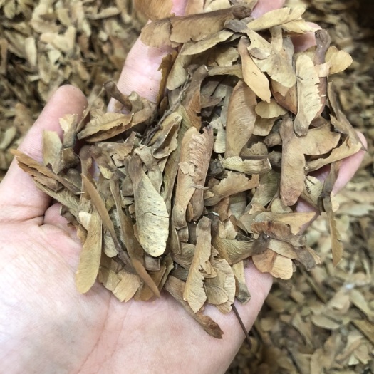 玉林偏门冷背药材蝴蝶草500g中药材穿藤金兰花铁交怀肺形草山蝴蝶