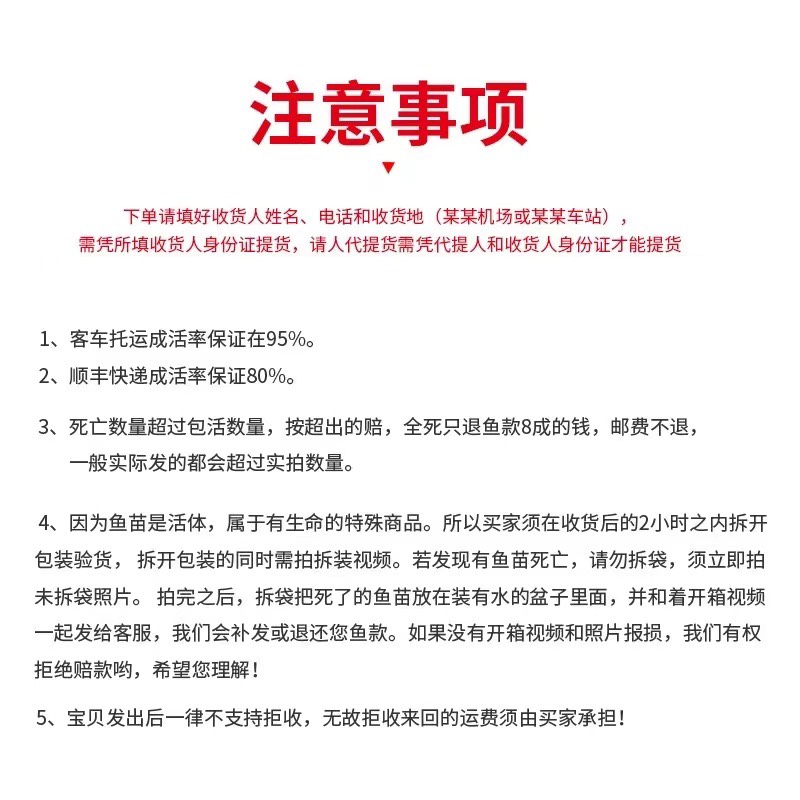 广东罗非鱼苗 供应益的罗非水花 公分苗