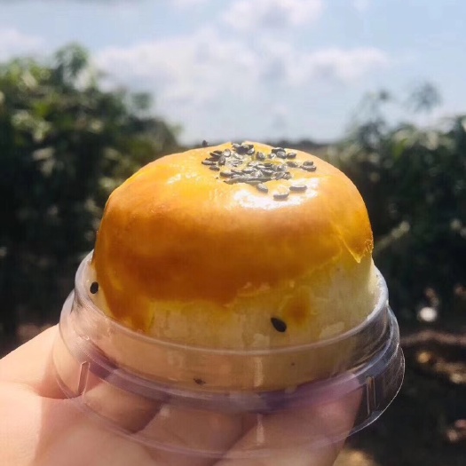 钦州海鸭蛋黄酥