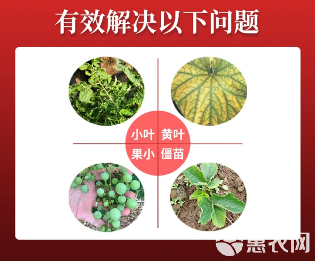 AEDTA锌螯合锌肥防缺锌小叶病黄叶僵果花叶病毒病