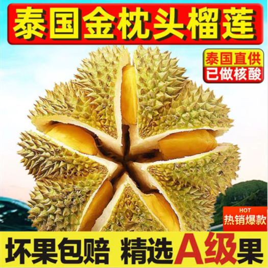 广州一件代发泰国金枕榴莲带壳当季新鲜批发软糯香甜非猫山王