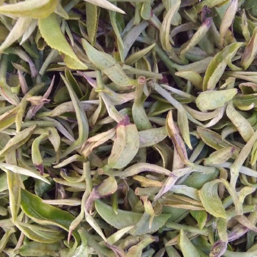 紫金县紫金蝉茶