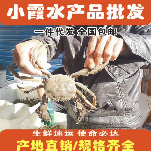 洪湖市2公清水大闸蟹。