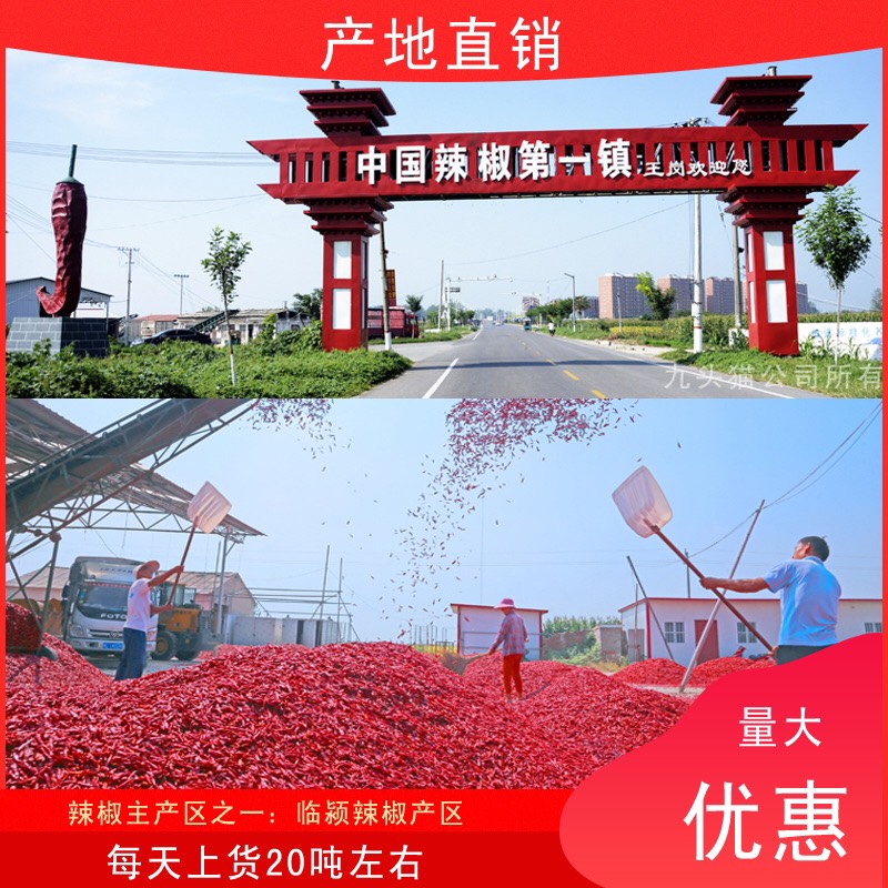 新货 贵州灯笼椒 灯笼椒干辣椒散装500g红辣椒海椒