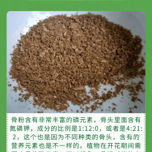 骨粉，牛骨粉