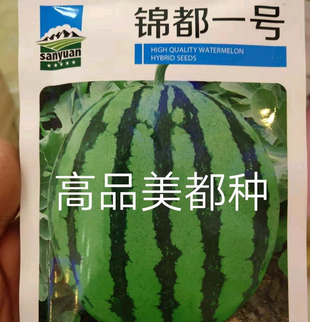 扶沟县美都西瓜种子锦都一号抗病抗裂含糖量高大红肉产量高商品性好