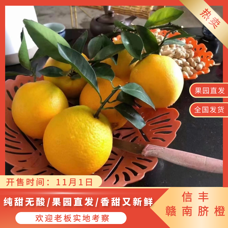 信丰县赣南脐橙果园直供新鲜采摘批发一件代发皮溥汁多包甜