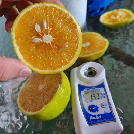海口海南澄迈福橙新鲜应季绿橙皮薄肉厚汁水多顺丰包邮8.5斤礼盒包