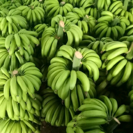 福建漳州香蕉大量有货，需要请联系我