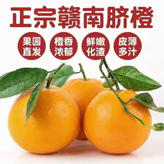 赣州脐橙 赣南脐橙 皮薄多汁 鲜嫩化渣 果园直发 全国供应