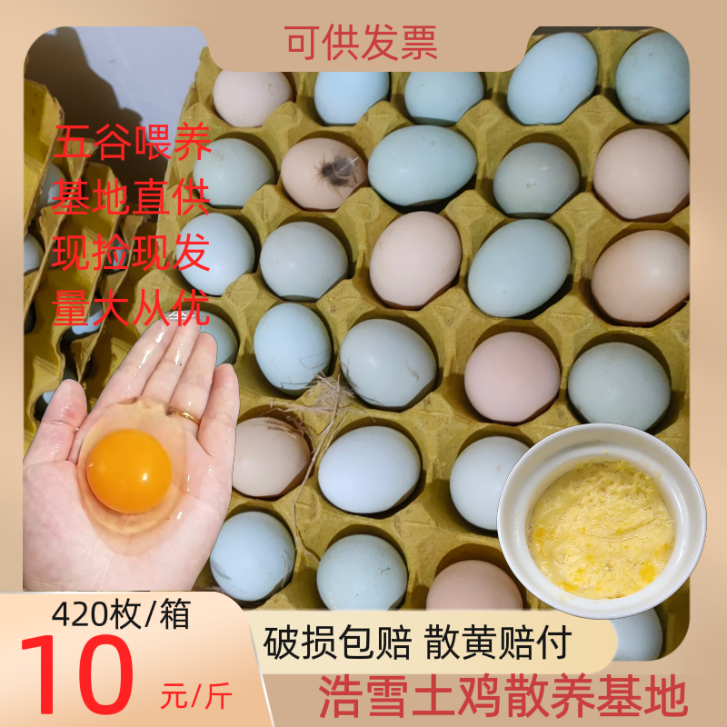 京山市【快运直达】 大号散养绿壳蛋 土鸡蛋 谷物喂养土鸡蛋420枚