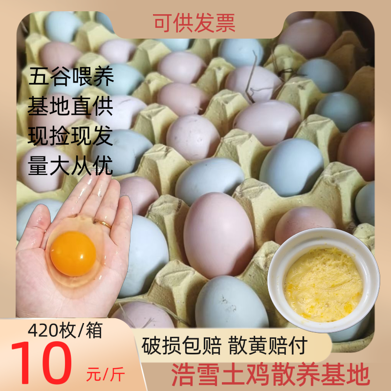 京山市【全国隔日达】大号散养土鸡蛋绿壳蛋土鸡蛋420枚基地现捡现发