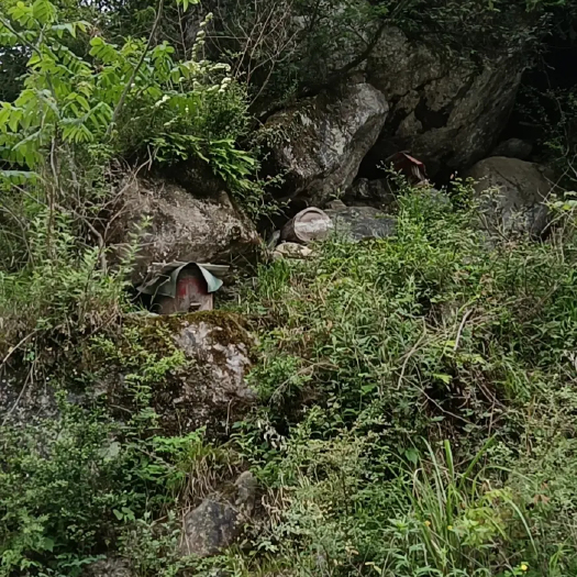 成都百花蜜