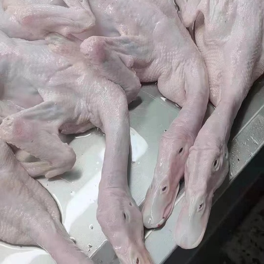 临沂一级各规格全鸭
