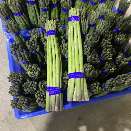 新鲜芦笋供应