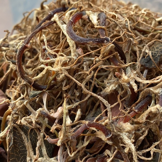 南靖县福建南靖林下种植干品质量货