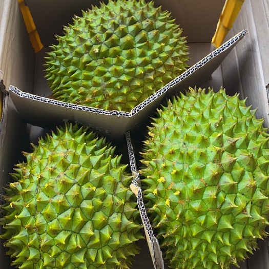凭祥市越南干尧榴莲