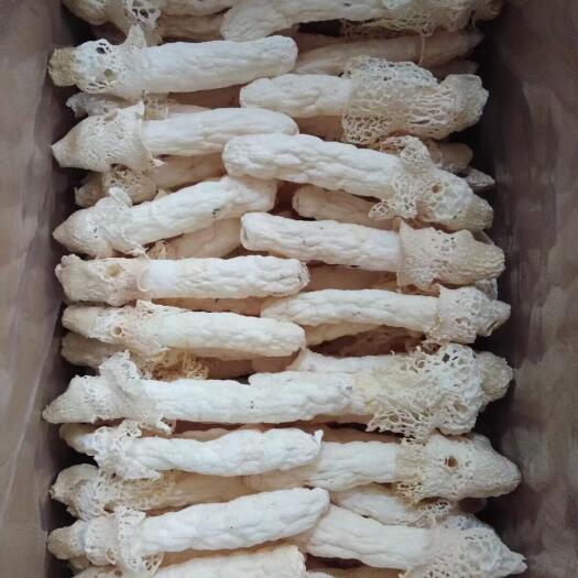 纳雍县贵州红托竹荪干品