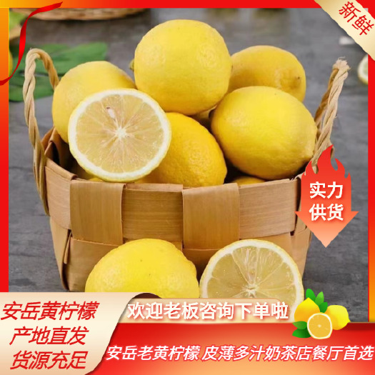 安岳县黄柠檬一级安岳黄柠檬皮薄多汁新鲜柠檬奶茶，市场专用优质果老果
