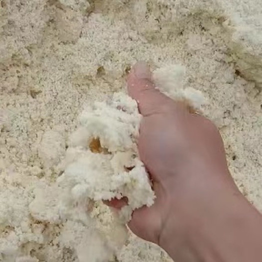 阳西县熟腐乳渣，熟豆奶渣，熟维他奶渣