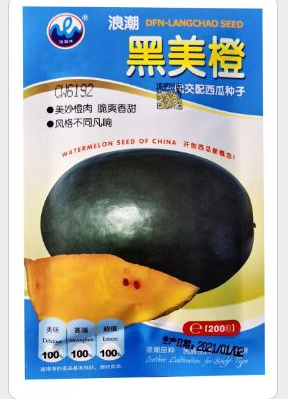 扶沟县黑美橙西瓜种子易管理口感好不空心含糖量高好吃