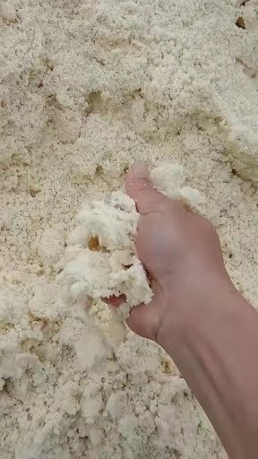 阳西县熟腐乳渣，熟豆奶渣，熟维他奶渣。货源紧缺提前预定下单阳西发货