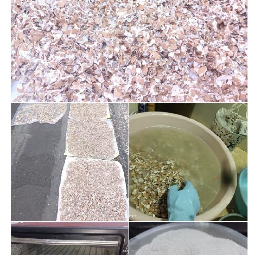 广州蛋壳粉。（改良土壤、作为有机肥