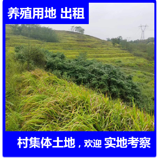 衡南县农村集体大面积养殖地出租流转