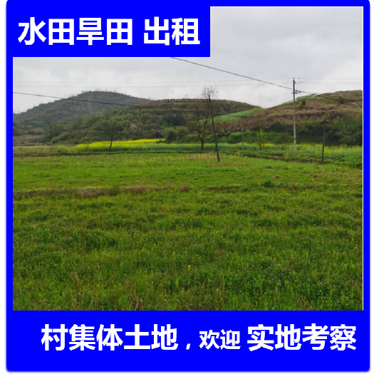 常宁市湖南大量成片旱田水田出租