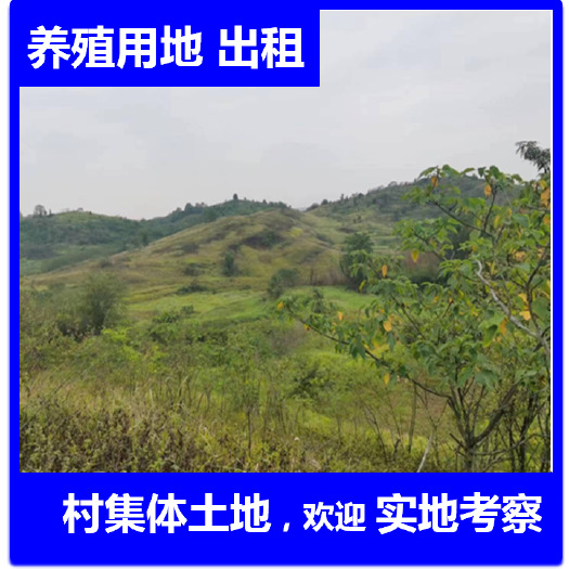 衡南县湖南农村3000亩村集体山地出租