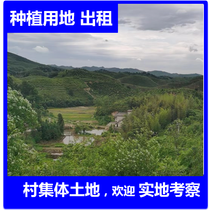 常宁市湖南农村大面积成片山地出租