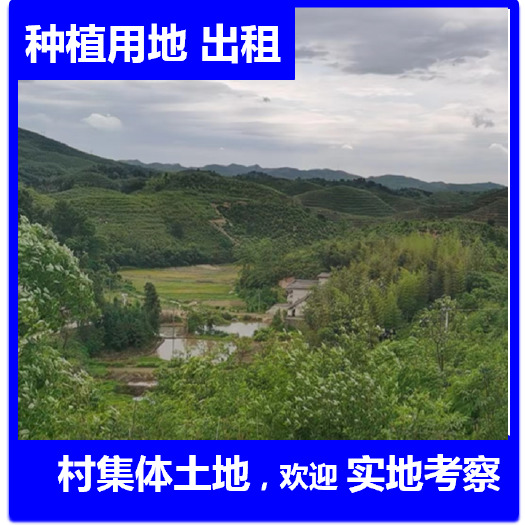 常宁市湖南农村大面积成片山地出租