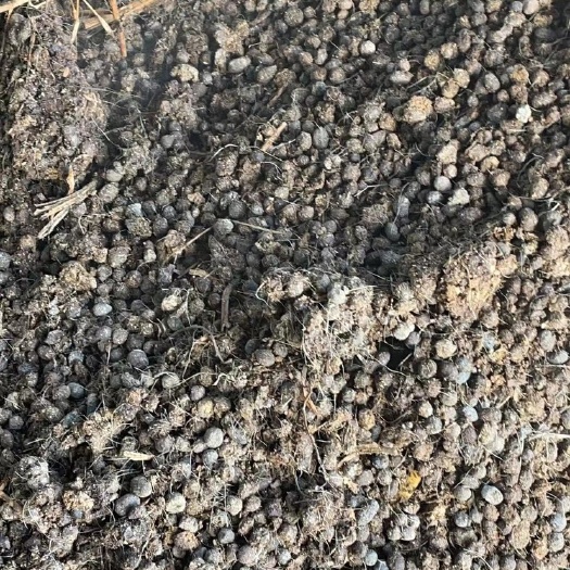 东台市源头好粪 生物肥料：发酵羊粪、颗粒羊粪！