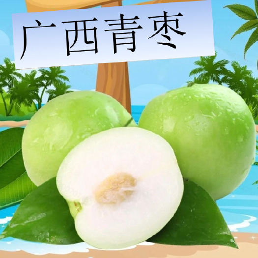 平南县广西平南青枣陆续上市