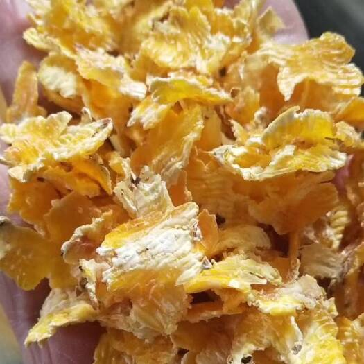 惠民县饲料级压片玉米 代替玉米提高吸收 蒸汽熟化